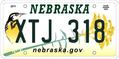 NE license plate XTJ318