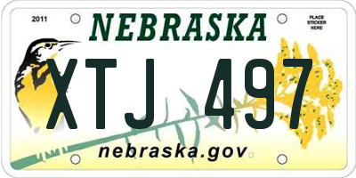NE license plate XTJ497