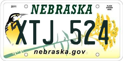 NE license plate XTJ524