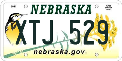 NE license plate XTJ529