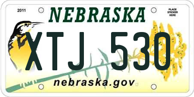 NE license plate XTJ530