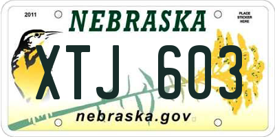 NE license plate XTJ603