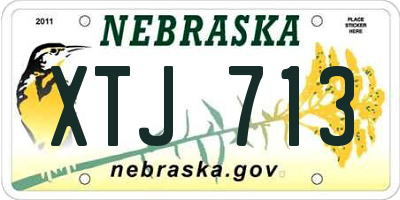 NE license plate XTJ713