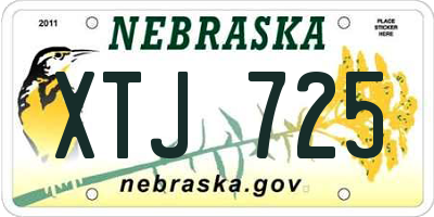 NE license plate XTJ725