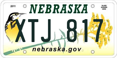 NE license plate XTJ817
