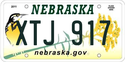 NE license plate XTJ917
