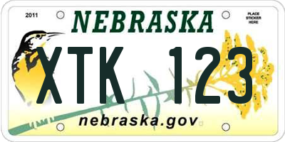 NE license plate XTK123