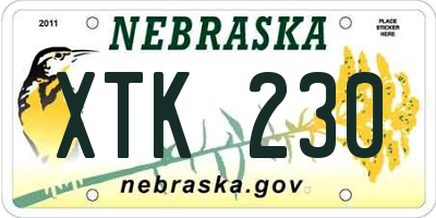 NE license plate XTK230