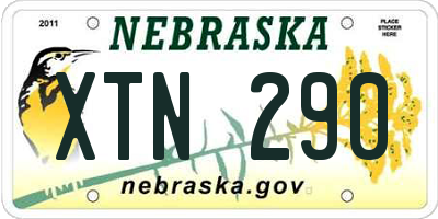 NE license plate XTN290