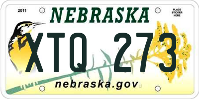 NE license plate XTQ273