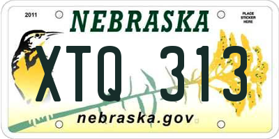 NE license plate XTQ313