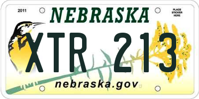 NE license plate XTR213