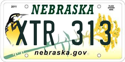 NE license plate XTR313