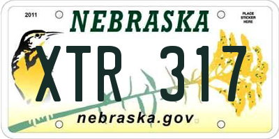 NE license plate XTR317