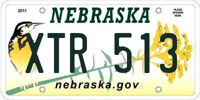 NE license plate XTR513