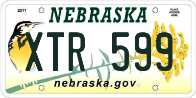 NE license plate XTR599