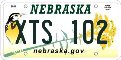 NE license plate XTS102