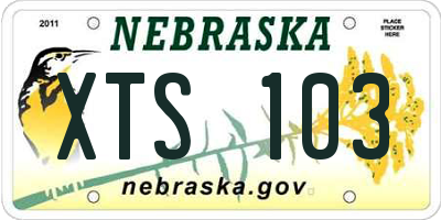 NE license plate XTS103
