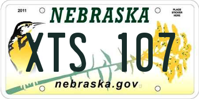 NE license plate XTS107