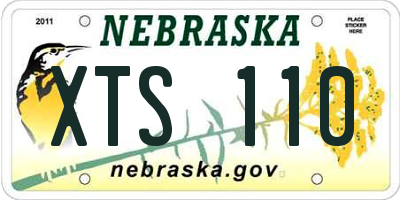 NE license plate XTS110