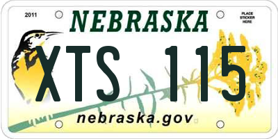 NE license plate XTS115