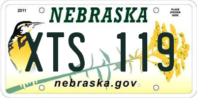 NE license plate XTS119