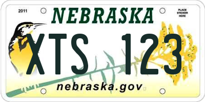 NE license plate XTS123