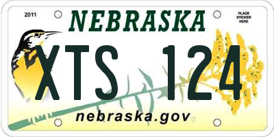 NE license plate XTS124
