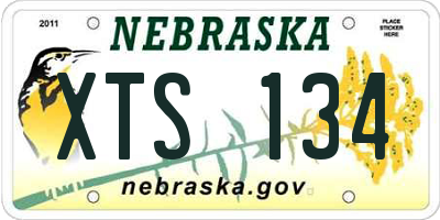 NE license plate XTS134
