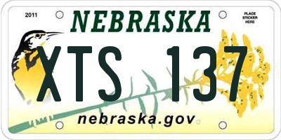 NE license plate XTS137