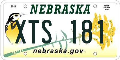 NE license plate XTS181