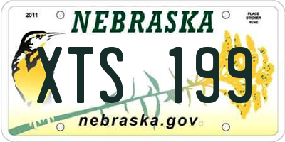 NE license plate XTS199