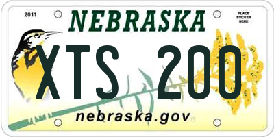 NE license plate XTS200