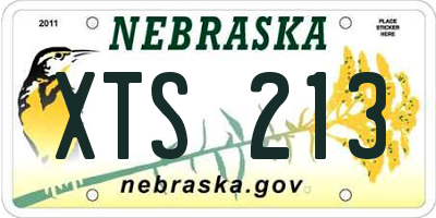 NE license plate XTS213