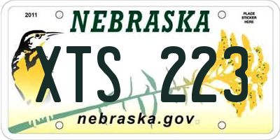 NE license plate XTS223