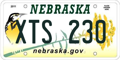 NE license plate XTS230