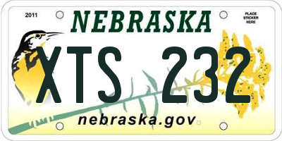 NE license plate XTS232