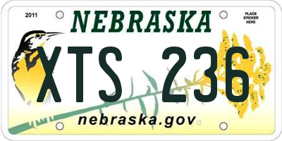 NE license plate XTS236