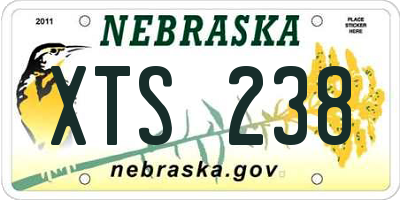 NE license plate XTS238
