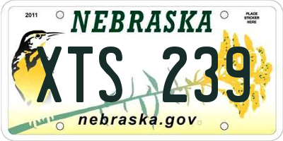 NE license plate XTS239