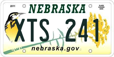 NE license plate XTS241