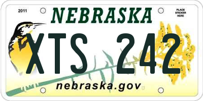 NE license plate XTS242