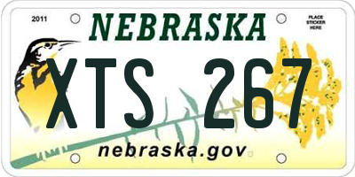 NE license plate XTS267