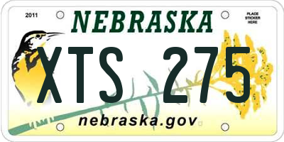 NE license plate XTS275