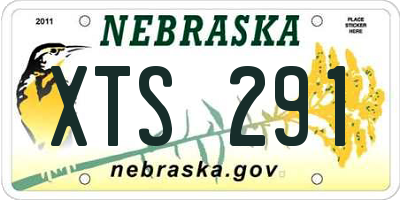 NE license plate XTS291