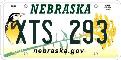NE license plate XTS293