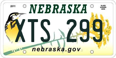 NE license plate XTS299