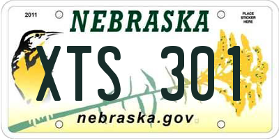 NE license plate XTS301