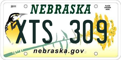 NE license plate XTS309
