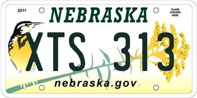 NE license plate XTS313